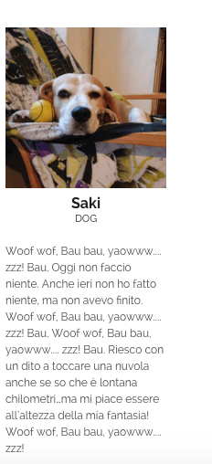 un cane nella pagina "Chi siamo" di un'agenzia di comunicazione italiana