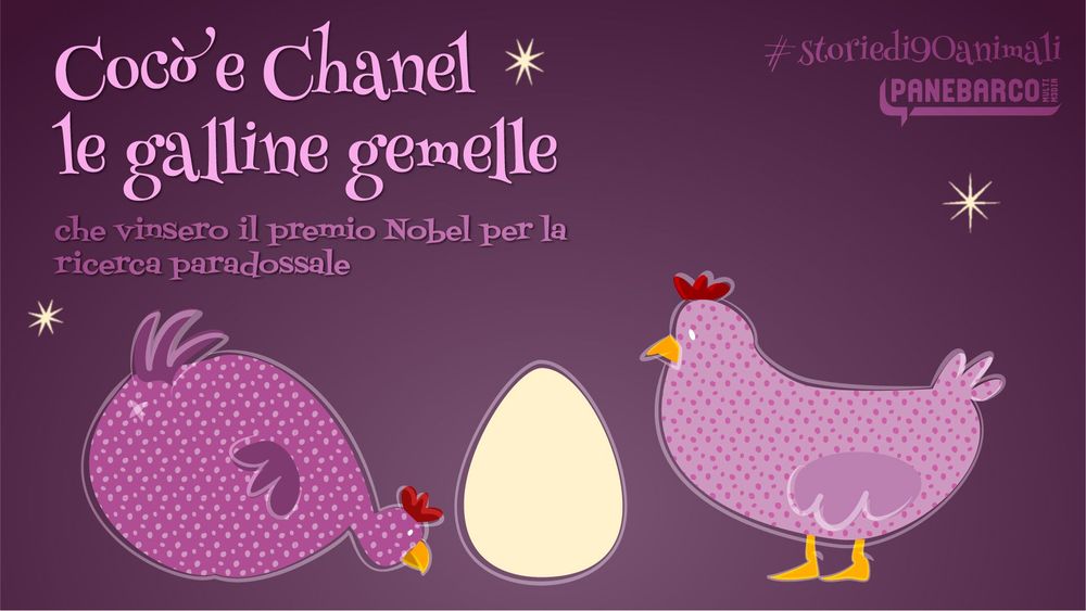Cocò e Chanel le galline gemelle