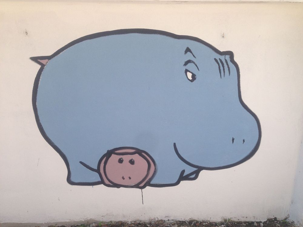 Animali da streetart