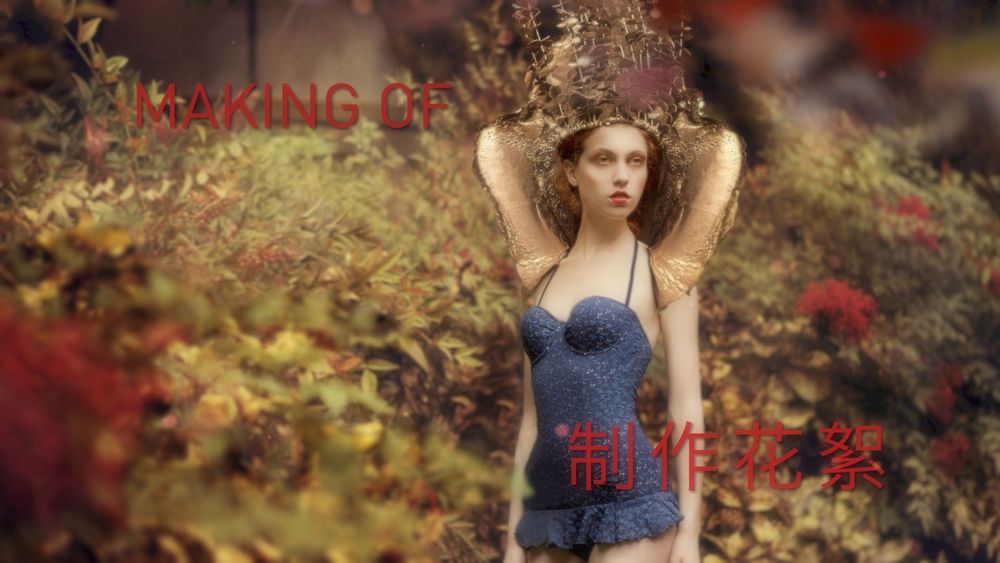 Livia Meldolesi Collection