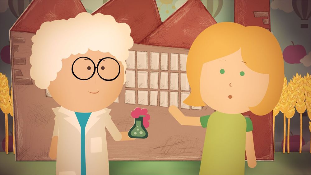 Dall’orto in barattolo all’orto energetico