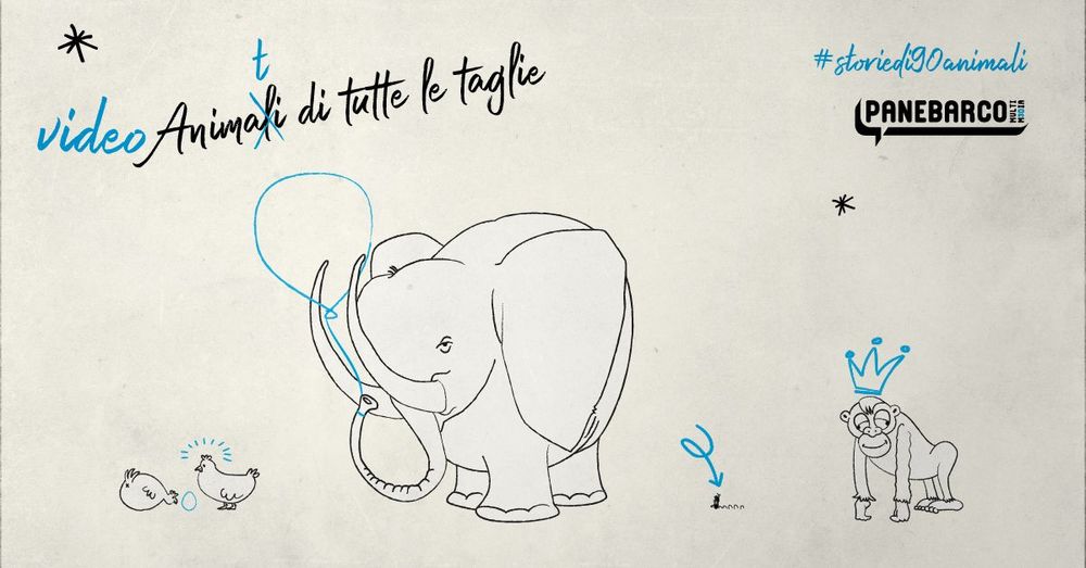 Video animati di tutte le taglie