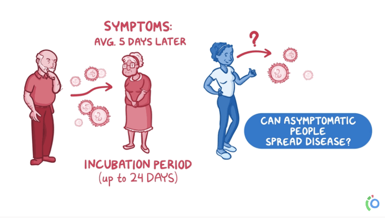 Chi ci spiega bene i virus?  L’animazione, ovviamente!