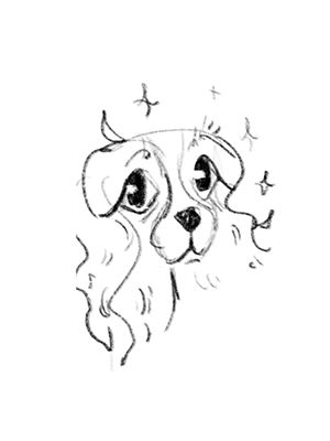 Bozzetto illustrato in bianco e nero di Cannella, cane ritratto in stile stilizzato con grandi occhi espressivi. Il disegno aggiunge un tocco giocoso e creativo all’universo visivo del team Panebarco.